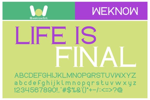 Life is Final: A Bold Serif Font for Creative Design Projects