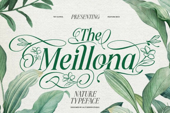 Meillona: A Romantic Serif for Elegant Branding