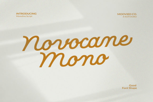 Novocane Mono: A Delicate Script Handwritten Font for Elegant Web Design