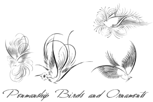 Penmanship Birds and Ornaments: A Creative Font for Campaigns