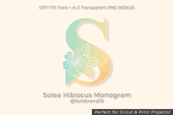 Solea Hibiscus Monogram: A Tropical Display Font for Web